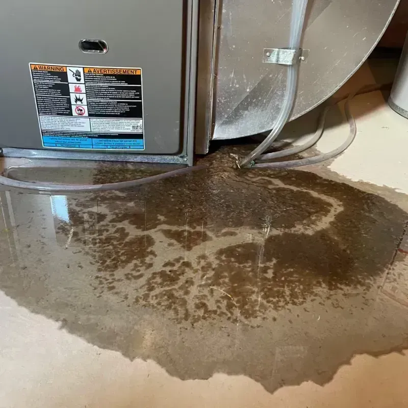 Appliance Leak Cleanup in Jackson County, KY